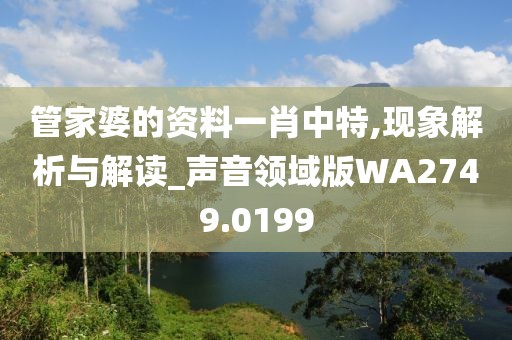 管家婆的資料一肖中特,現(xiàn)象解析與解讀_聲音領(lǐng)域版WA2749.0199