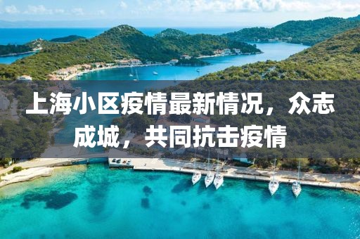 上海小區(qū)疫情最新情況，眾志成城，共同抗擊疫情