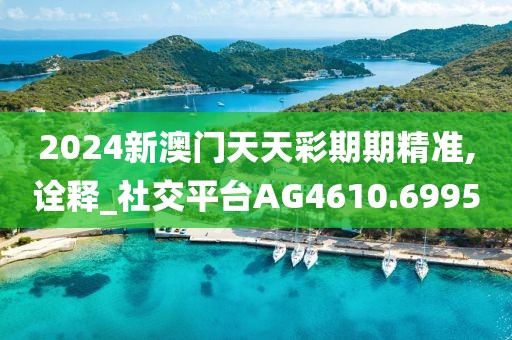 2024新澳門天天彩期期精準(zhǔn),詮釋_社交平臺(tái)AG4610.6995