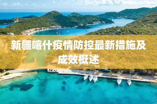 新疆喀什疫情防控最新措施及成效概述