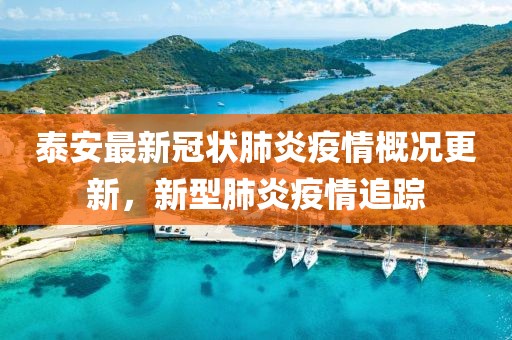 泰安最新冠狀肺炎疫情概況更新，新型肺炎疫情追蹤