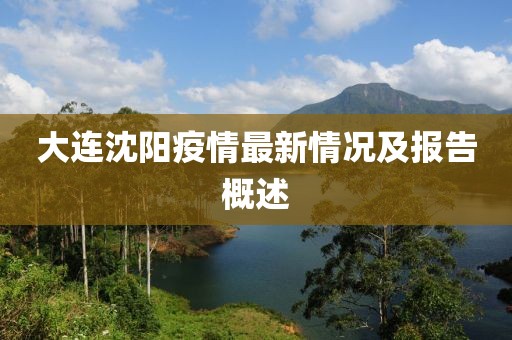 大連沈陽疫情最新情況及報告概述