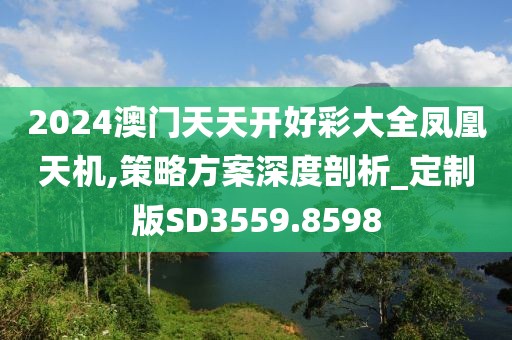 2024澳門天天開好彩大全鳳凰天機(jī),策略方案深度剖析_定制版SD3559.8598