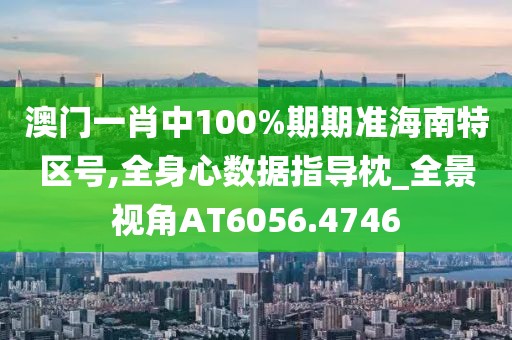 澳門一肖中100%期期準(zhǔn)海南特區(qū)號,全身心數(shù)據(jù)指導(dǎo)枕_全景視角AT6056.4746