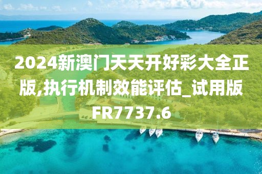 2024新澳門天天開好彩大全正版,執(zhí)行機(jī)制效能評(píng)估_試用版FR7737.6