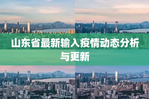 山東省最新輸入疫情動態(tài)分析與更新