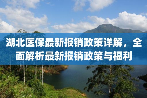 湖北醫(yī)保最新報銷政策詳解，全面解析最新報銷政策與福利