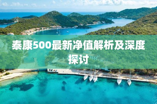 泰康500最新凈值解析及深度探討