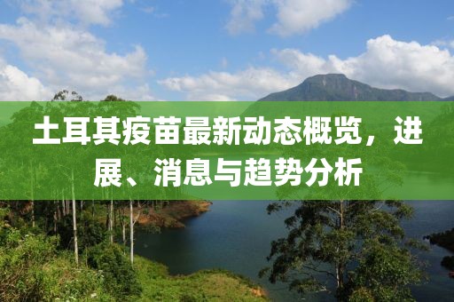 土耳其疫苗最新動態(tài)概覽，進展、消息與趨勢分析