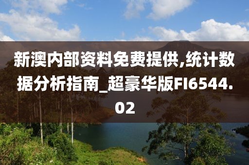 新澳內(nèi)部資料免費(fèi)提供,統(tǒng)計(jì)數(shù)據(jù)分析指南_超豪華版FI6544.02