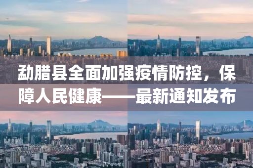 勐臘縣全面加強(qiáng)疫情防控，保障人民健康——最新通知發(fā)布