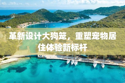 革新設計大狗籠，重塑寵物居住體驗新標桿