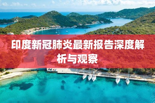 印度新冠肺炎最新報告深度解析與觀察