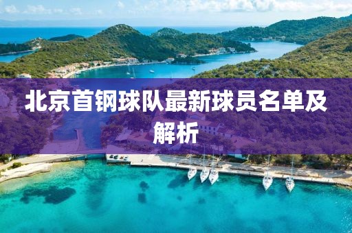 北京首鋼球隊最新球員名單及解析