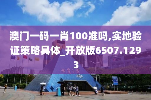 澳門一碼一肖100準(zhǔn)嗎,實地驗證策略具體_開放版6507.1293