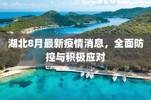 湖北8月最新疫情消息，全面防控與積極應(yīng)對(duì)