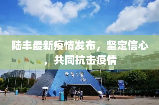 陸豐最新疫情發(fā)布，堅定信心，共同抗擊疫情