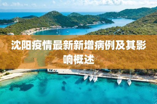 沈陽疫情最新新增病例及其影響概述