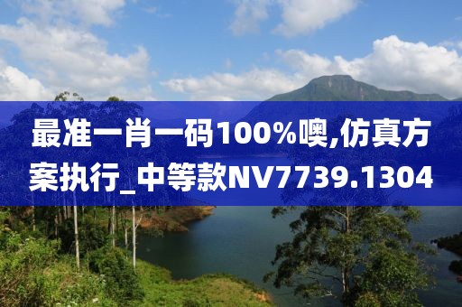 最準一肖一碼100%噢,仿真方案執(zhí)行_中等款NV7739.1304