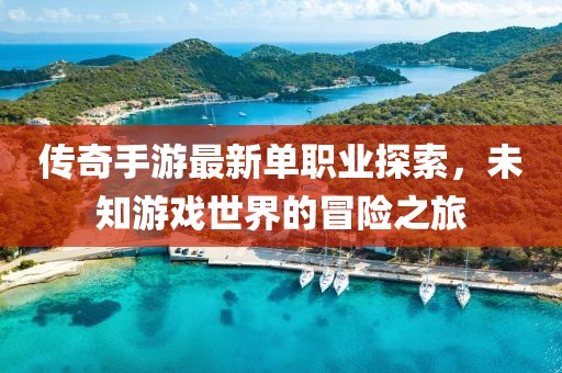 傳奇手游最新單職業(yè)探索，未知游戲世界的冒險(xiǎn)之旅