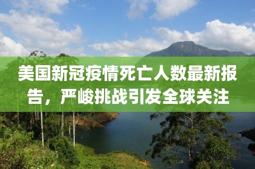 美國新冠疫情死亡人數(shù)最新報告，嚴峻挑戰(zhàn)引發(fā)全球關注