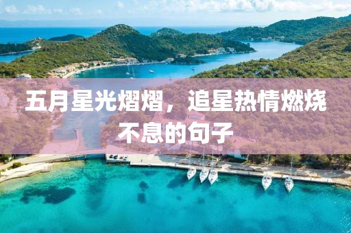五月星光熠熠，追星熱情燃燒不息的句子