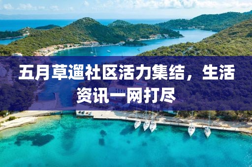 五月草遛社區(qū)活力集結(jié)，生活資訊一網(wǎng)打盡