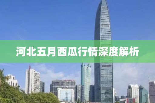 河北五月西瓜行情深度解析