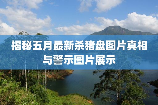 揭秘五月最新殺豬盤圖片真相與警示圖片展示