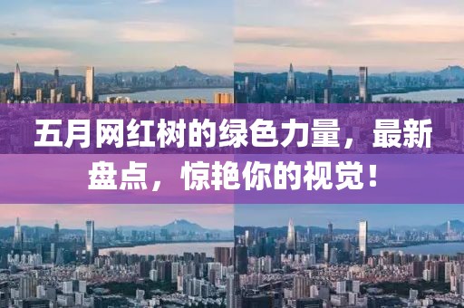 五月網(wǎng)紅樹的綠色力量，最新盤點，驚艷你的視覺！