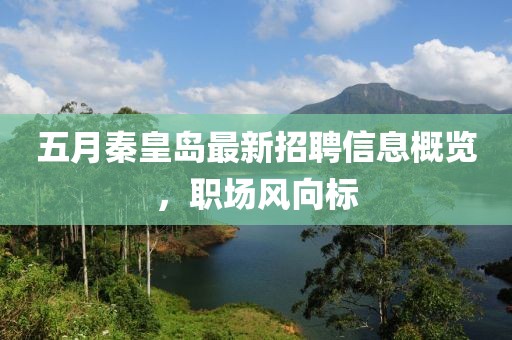 五月秦皇島最新招聘信息概覽，職場風(fēng)向標(biāo)