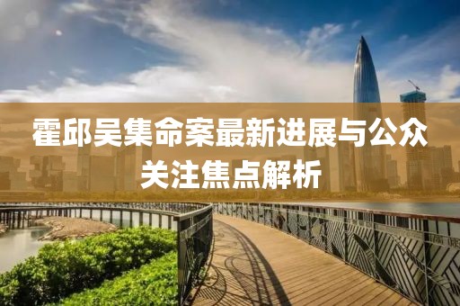霍邱吳集命案最新進(jìn)展與公眾關(guān)注焦點(diǎn)解析