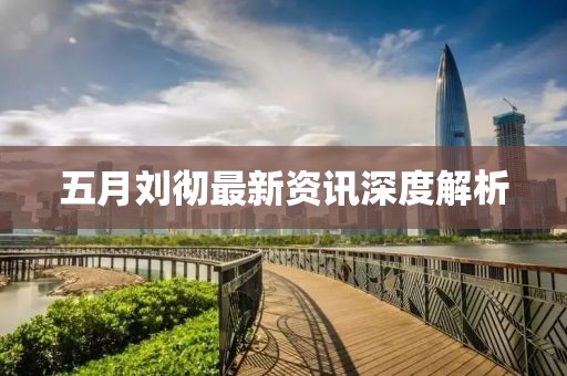 五月劉徹最新資訊深度解析