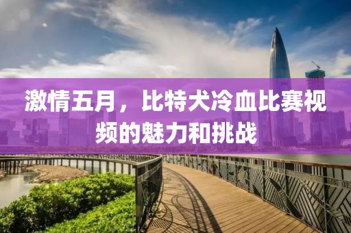 激情五月，比特犬冷血比賽視頻的魅力和挑戰(zhàn)