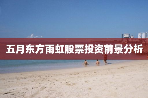 五月東方雨虹股票投資前景分析