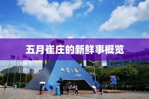 五月崔莊的新鮮事概覽