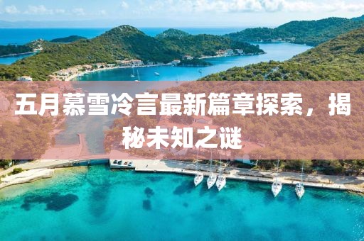 五月慕雪冷言最新篇章探索，揭秘未知之謎