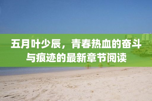 五月葉少辰，青春熱血的奮斗與痕跡的最新章節(jié)閱讀