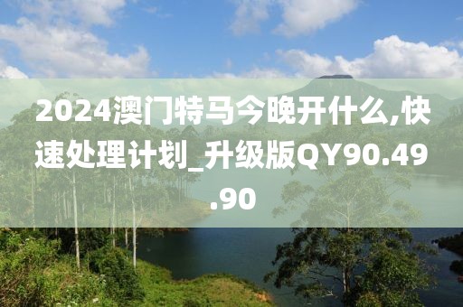 2024澳門特馬今晚開什么,快速處理計劃_升級版QY90.49.90