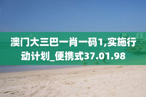 澳門大三巴一肖一碼1,實施行動計劃_便攜式37.01.98