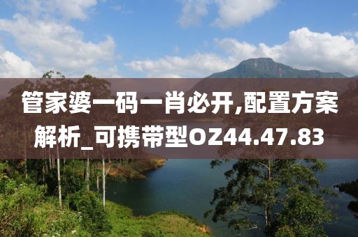 管家婆一碼一肖必開,配置方案解析_可攜帶型OZ44.47.83