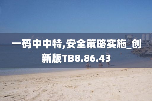 一碼中中特,安全策略實(shí)施_創(chuàng)新版TB8.86.43