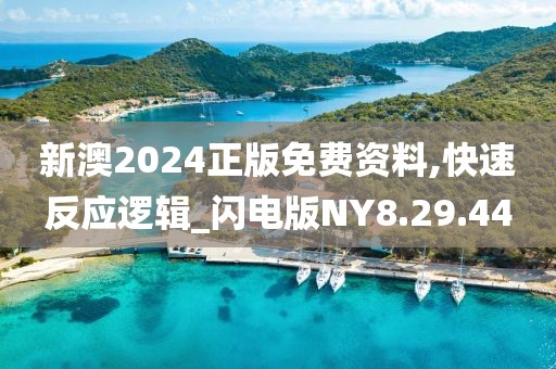 新澳2024正版免費資料,快速反應邏輯_閃電版NY8.29.44