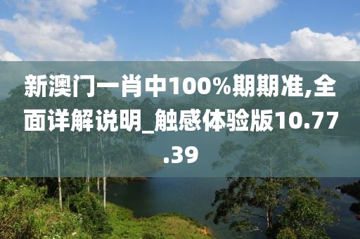 新澳門(mén)一肖中100%期期準(zhǔn),全面詳解說(shuō)明_觸感體驗(yàn)版10.77.39