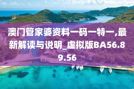 澳門管家婆資料一碼一特一,最新解讀與說明_虛擬版BA56.89.56