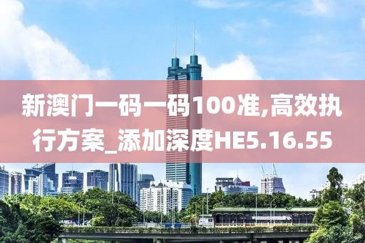 新澳門一碼一碼100準,高效執(zhí)行方案_添加深度HE5.16.55