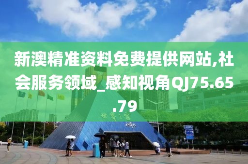 新澳精準資料免費提供網站,社會服務領域_感知視角QJ75.65.79