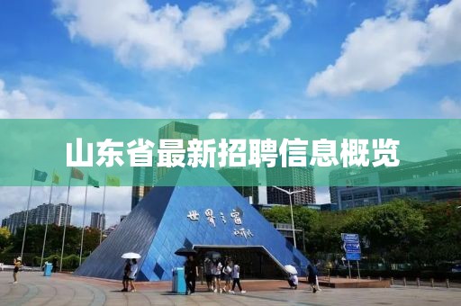 山東省最新招聘信息概覽