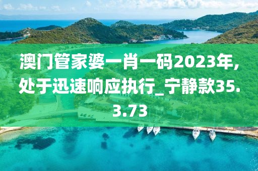 澳門管家婆一肖一碼2023年,處于迅速響應(yīng)執(zhí)行_寧靜款35.3.73