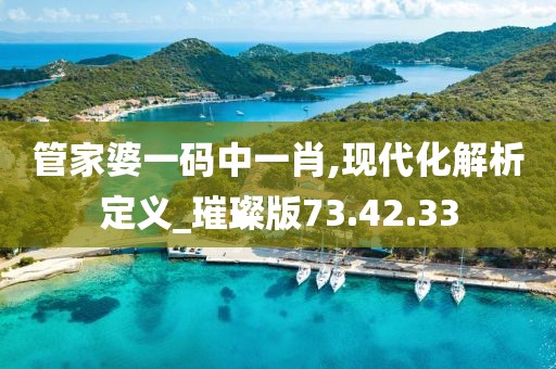 管家婆一碼中一肖,現(xiàn)代化解析定義_璀璨版73.42.33